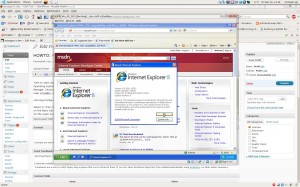 Screenshot of a Running IE8 install on Ubuntu using VirtualBox